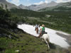 IMG 0534